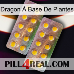 Dragon À Base De Plantes new10